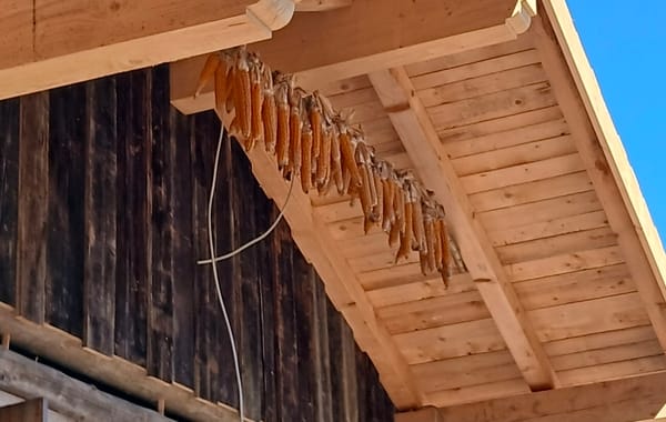 Unsere Polentamühle ist da